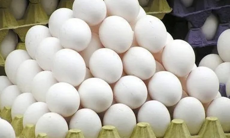 Egg Price | முட்டை விலை திடீர் உயர்வு.. நாமக்கல்லில் ஒரு முட்டையின் விலை எவ்வளவு தெரியுமா?