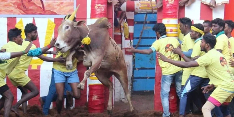 அலங்காநல்லூர் ஜல்லிக்கட்டு எந்த இடத்தில் நடைபெறும்.? வெளியான முக்கிய அறிவிப்பு.!