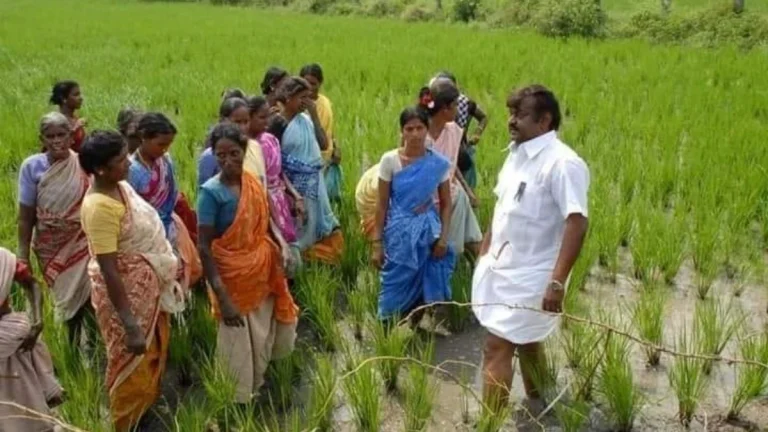 விஜயகாந்துக்கு செய்வினை! ஆளை முடக்கி பேச்சு வராமல் போக என்ன காரணம்? பகீர் கிளப்பும் கங்கை அமரன்!