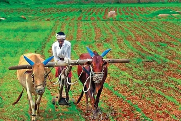 குட் நியூஸ்..! தமிழக விவசாயிகளுக்கு ரூ.1,500 கோடி வட்டியில்லா கடன் வழங்கப்படும் – அமைச்சர் பெரியகருப்பன்..!