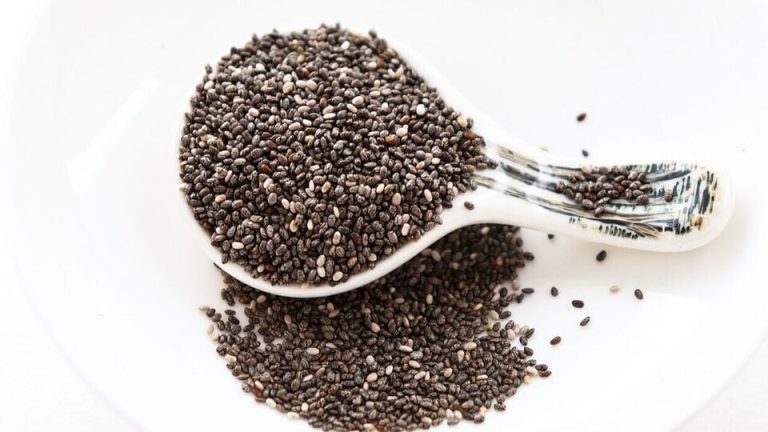 Chia Seeds: சியா விதை நல்லதுதான்.. ஆனால் இதில் கவனம் தேவை மக்களே!