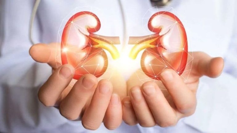 Kidney Care : சிறுநீரகத்தை பாதுகாக்க உதவும் ஆயுர்வேத மருத்துவ ரகசியம்!