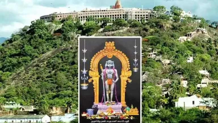 இன்று தைப்பூச திருவிழா தேரோட்டம் : பழனியில் பக்தர்கள் குவிந்தனர்..!