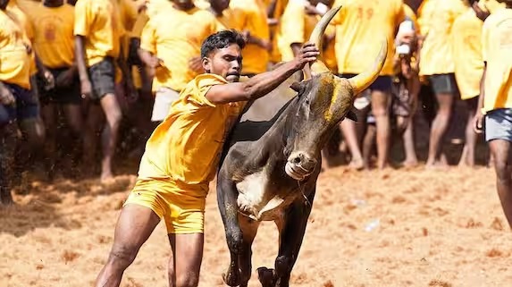 Jallikattu : நாளை அவனியாபுரம் ஜல்லிக்கட்டு.. மாடுபிடி வீரர்கள், மாடு உரிமையாளர்களுக்கு நிபந்தனை விதித்த போலீஸ்