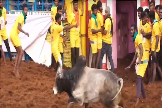 Palamedu Jallikattu 2024 : பரபரக்கும் பாலமேடு ஜல்லிக்கட்டு; காவலர்கள் உள்பட 24 பேர் காயம்