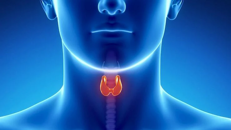குளிர்காலத்தில் தைராய்டு பாதிப்பின் விளைவுகள் என்னென்ன?
