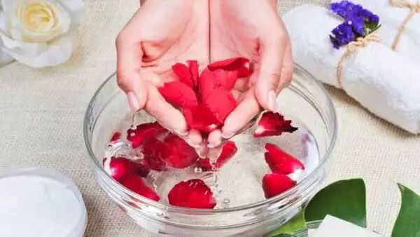 Rose Petals for Skin: பளபளப்பான, பிரகாசமான சருமம் வேண்டுமா? ரோஜா இதழ்களை இப்படி மட்டும் பயன்படுத்துங்கள்