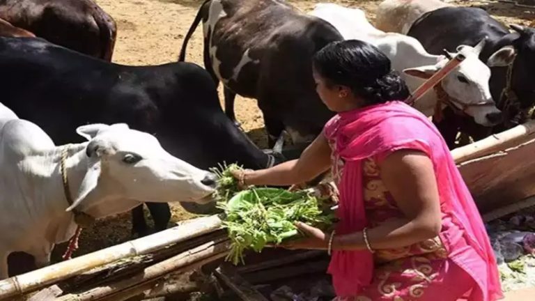 இன்று முன்னோர்களின் ஆசி கிடைக்க என்ன செய்யலாம்..என்ன செய்யக்கூடாது..!