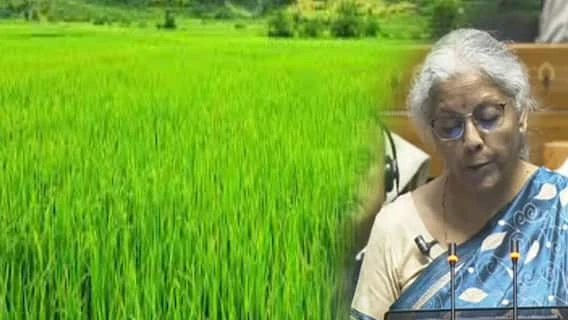 Agriculture budget 2024: விவசாயிகள் வருமானத்தை அதிகரிக்க புதிய திட்டம் : பட்ஜெட்டில் வெளியான முக்கிய அறிவிப்பு