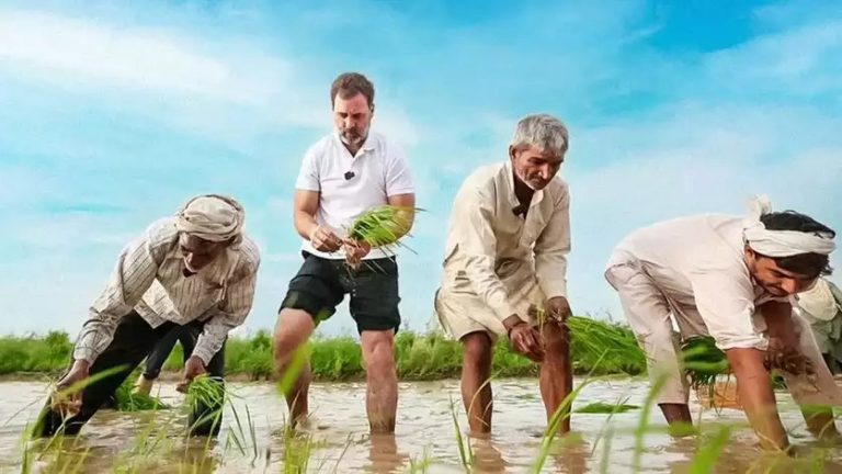 பாஜக அரசால் பணக்காரர்களின் கடன்களை தள்ளுபடி செய்ய முடியும்… ஆனால் விவசாயிகள் கடனை..? ராகுல் கேள்வி..!