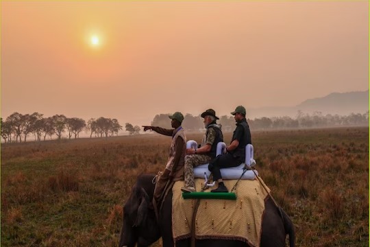 காசிரங்கா தேசிய பூங்காவில் யானை சவாரி செய்த பிரதமர் மோடி